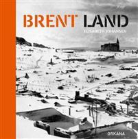 Last ned Brent land - Elisabeth Johansen Last ned Forfatter: Elisabeth Johansen ISBN: 9788281042339 Antall sider: 210 Format: PDF Filstørrelse: 11.