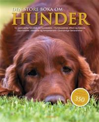 Last ned Den store boka om hunder - David Alderton Last ned Forfatter: David Alderton ISBN: 9788231608448 Antall sider: 384 Format: PDF Filstørrelse: 16.