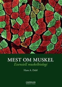 Last ned Mest om muskel - Hans A. Dahl Last ned Forfatter: Hans A. Dahl ISBN: 9788202257576 Antall sider: 240 Format: PDF Filstørrelse: 29.