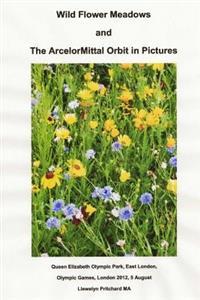 Last ned Wild Flower Meadows and the Arcelormittal Orbit in Pictures: Olympic Legacy - Llewelyn Pritchard Last ned Forfatter: Llewelyn Pritchard ISBN: 9781493759859 Antall sider: 32 Format: PDF