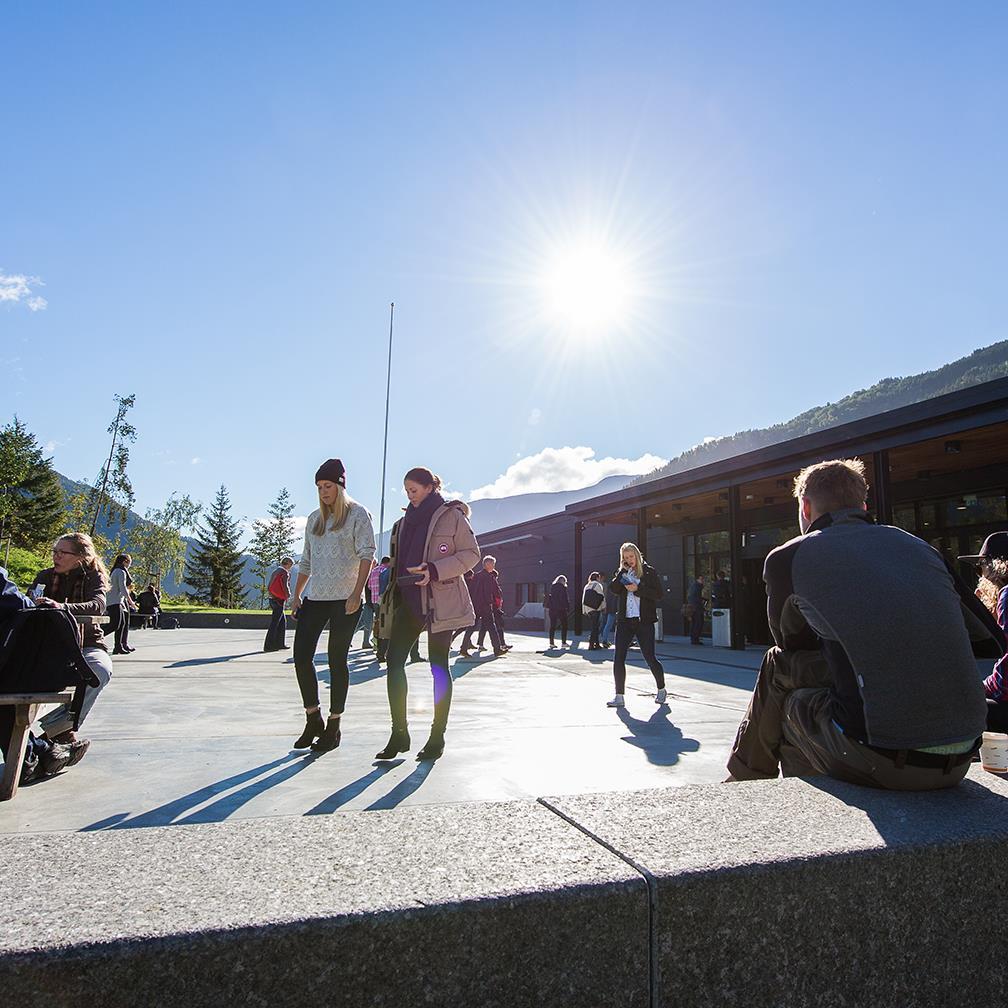 Tverrgående synergiområde Seks definerte område: 1. Profesjons- og arbeidslivsretta profil 2.