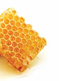 + harmoningas gyvenimas / bičių produktai grynas auksas Medų renkančios bitės tikras gamtos stebuklas.
