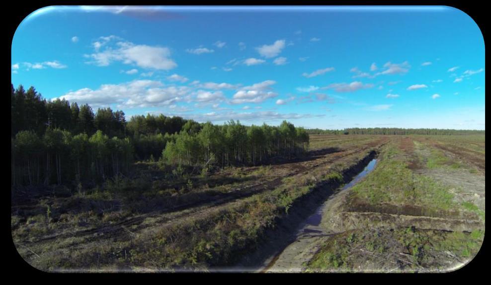 erstatte 1 tonn torv med 1 tonn kompost spares utslipp av 700 kg CO 2 Samme mengde en bil slipper ut på å