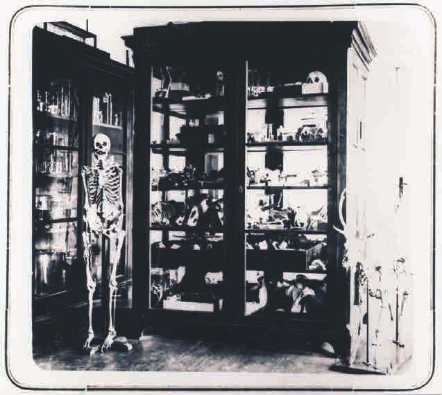 Aastatel 1887 1918 õpetas võrdlevat anatoomiat ja zooloogiat Tartu Veterinaariainstituudi professor Ludvigs Kundziņš (1855 1940), kes koostas kogu loomariiki hõlmava õppekollektsiooni.