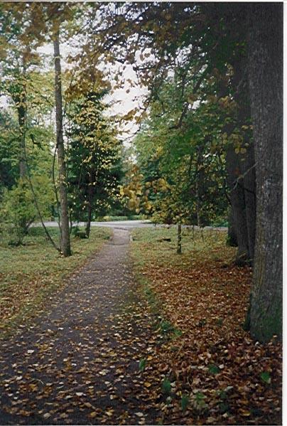 KEHTNA VALLA AJALEHT Nr. 6 (67) 18. oktoober 2001 Allee kohal nutused pilved, silmapiir päikest peidab, lompidel päikesesiller viimase sügise leinas. Päikesel ununend hommik loojangupunases valus.