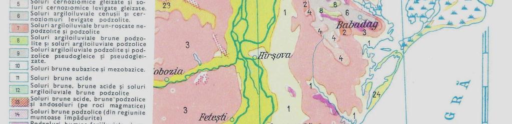 Materia anorganica care a contribuit la pedogeneza a fost produsa de vegetatia de stepa care sub actiunea microflorei a produs humuficare care desi in procent mic, este foarte