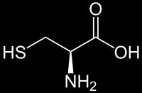 8. Napišite tripeptid Cys-Phe-Val. V njem natančno obkrožite peptidno vez. Fenilalanin, Phe Valin, Val Cistein, Cys 9.