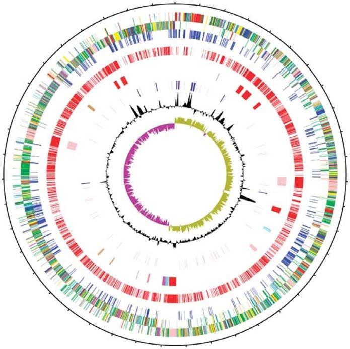 15 Clostridium difficile genomet Høy andel mobile genetiske elementer (11%) CDS gjenspeiler livet i det gastrointestinale system + overlevelse i suboptimale