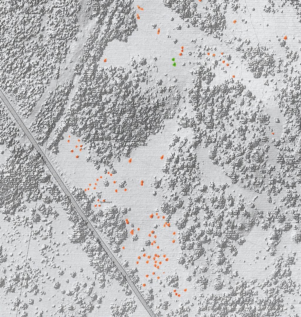 3 Effekt av gjennomførte tiltak Effekter av skjøtselstiltak ble befart i felt samt ved undersøkelser av LiDAR-bilder fra 2012 og 2016.