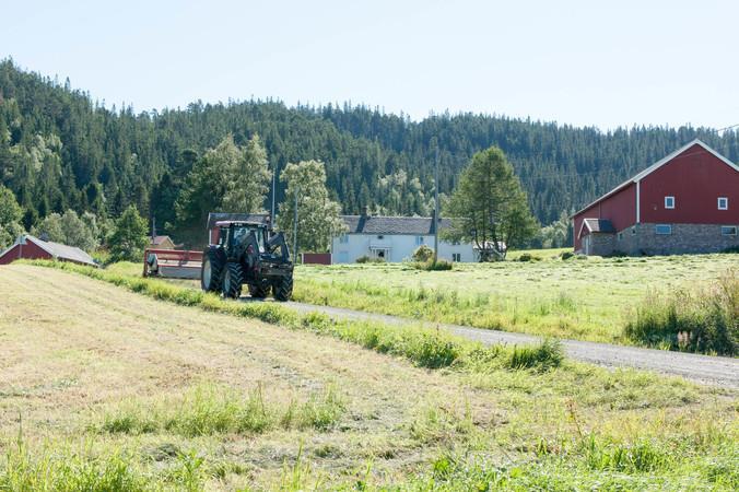 Studier av rådgivningstjenester - noen resultater