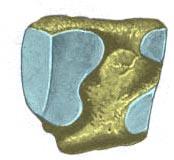 1.16 Venstre os cuneiforme laterale sett fra et proksimalt aspekt Facies articularis naviculare Facies articularis 2.