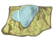 1.17 Venstre os cuboideum sett fra et medialt aspekt *Leddfasett articularis naviculare Facies articularis cuneiforme laterale Fig.