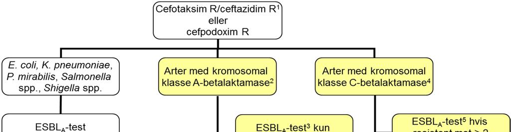 Enterobacteriaceae ALGORITME FOR PÅVISNING AV KLASSISK ESBL (ESBL A ) NordicAST v. 6.0, 2016-01-01 1 Lappediffusjon: Test kun isolater som er cefotaksim eller ceftazidim R.