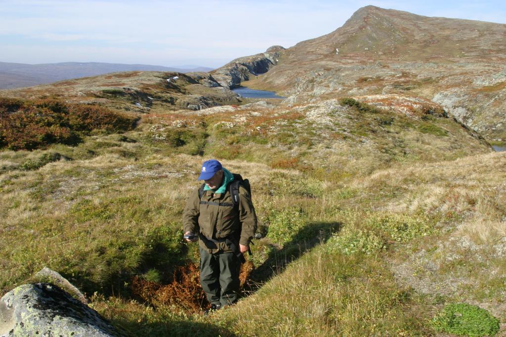 Foto: Per Jordhøy