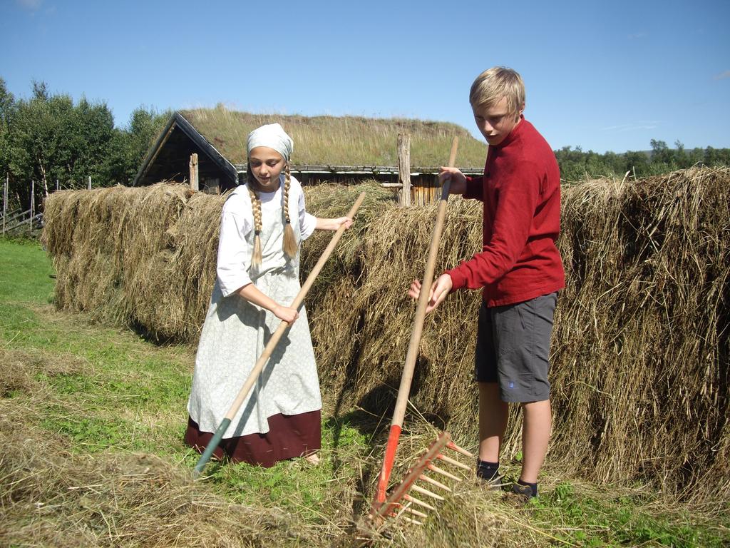 Prosjekteier/hovedansvarlig på vegne av flere aktører: Nasjonalparkstyret for Forollhogna, www.nasjonalparkstyre.