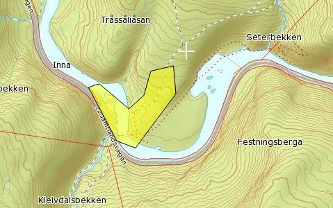 Foto: Einar Værnes Deretter kjørt vi til Kong Carl Johans Klev og registrerte karplantetaxa rundt elva Inna og i skogkanten på nordsida av elva. Området er vist i figur 5.
