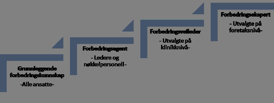 Figur 6.5. Kompetansestige fra nybegynner til ekspert. Trinn 1: Grunnleggende kunnskap om utøvelse av forbedringsarbeid Kjenne til kvalitetsforbedring og systemtenkning.