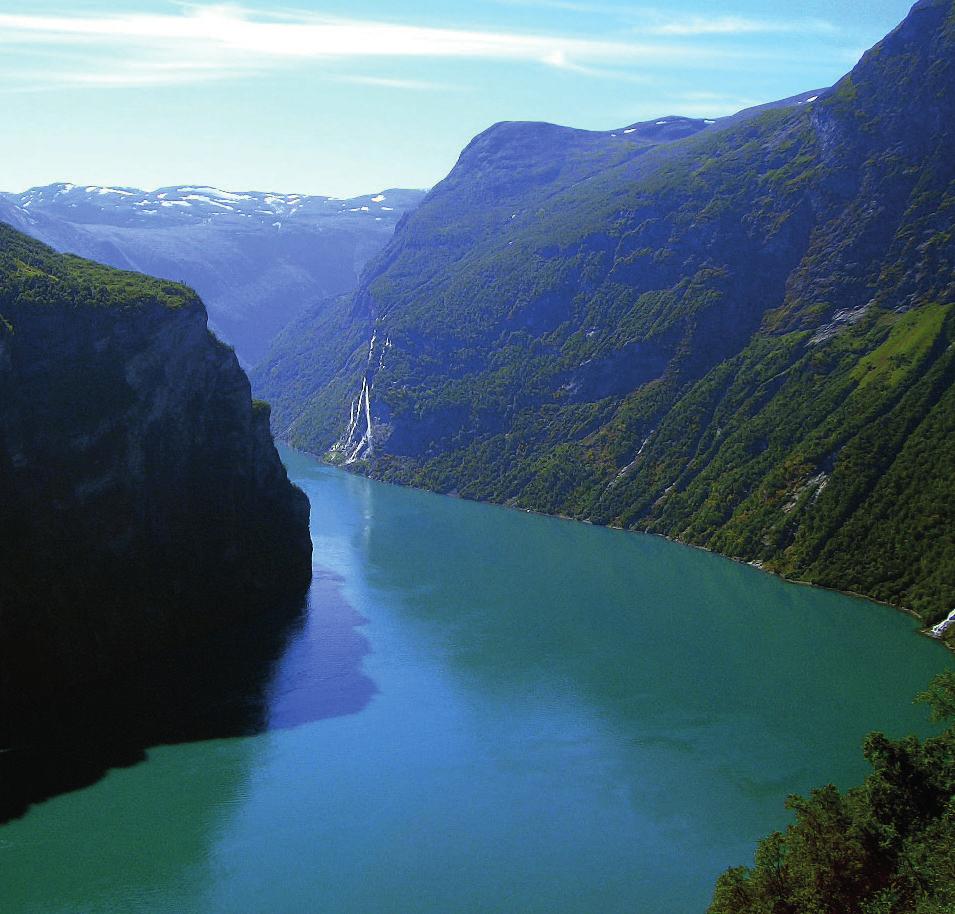 Fjord farget grønn av cyanobakterier. Få dager senere kan fjorden være blå igjen. -Da har bakteriofager infisert cyanobakteriene, og utført sin biokontroll!