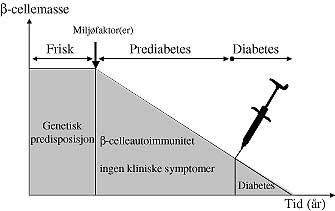 prediabetes, definert som dem med ICA i titer _ 20 Juvenile Diabetes Foundation Units; (JDFU). Prediabetikere er så blitt randomisert til enten nikotinamid eller placebo.