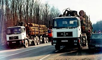 O stanju u {umarstvu, cijenama sirovine i na~inima prodaje u nekim srednjoeuropskim dr avama, ovoga se ljeta, u okviru Dana hrvatskoga {umarstva, raspravljalo u Selcu na skupu komercijalista iz dr