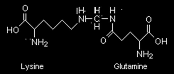 ueigna for EGFR) - Sekvenseringsartefakt: C (cytosin) T (thymin) OBS!