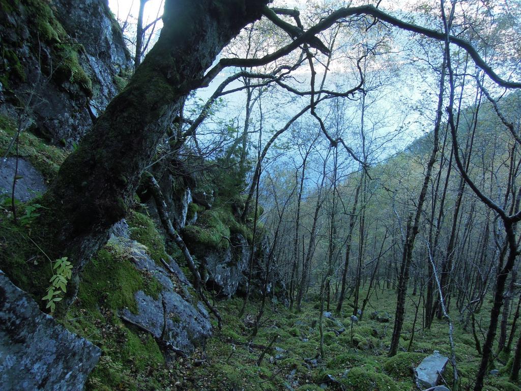 I bakgrunnen høye bergvegger som avgrenser