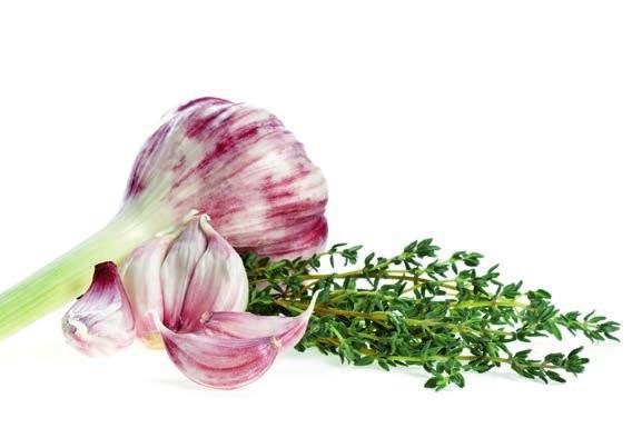 Nutritional Forever Garlic-Thyme Hvitløk og timian har blitt