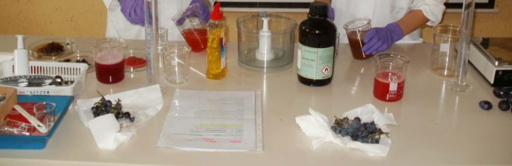 Slika 9: Uporabljeni reagenti in kemikalije za izolacijo Slika 10: DNA vijačnica jabolka pod mikroskopom (40-kratna povečava) PREGLED IZOLIRANE DNA V VZORCIH ZELENJAVE ZELENJAVA (100 g) POREKLO VRSTA