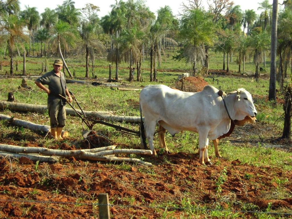 Potential Drivers of Social Conflict Previous mining experience Garimpo Legacies