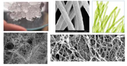 Production of nano-cellulose