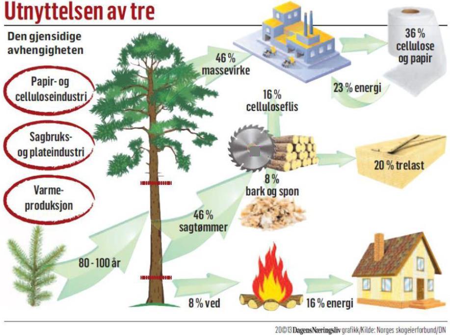 28 Optimisme Optimismen for skogbruket i Norge har aldri vært høyere!
