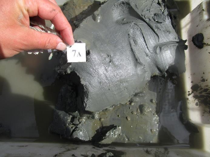 Figur V9.7 Sediment før vask.