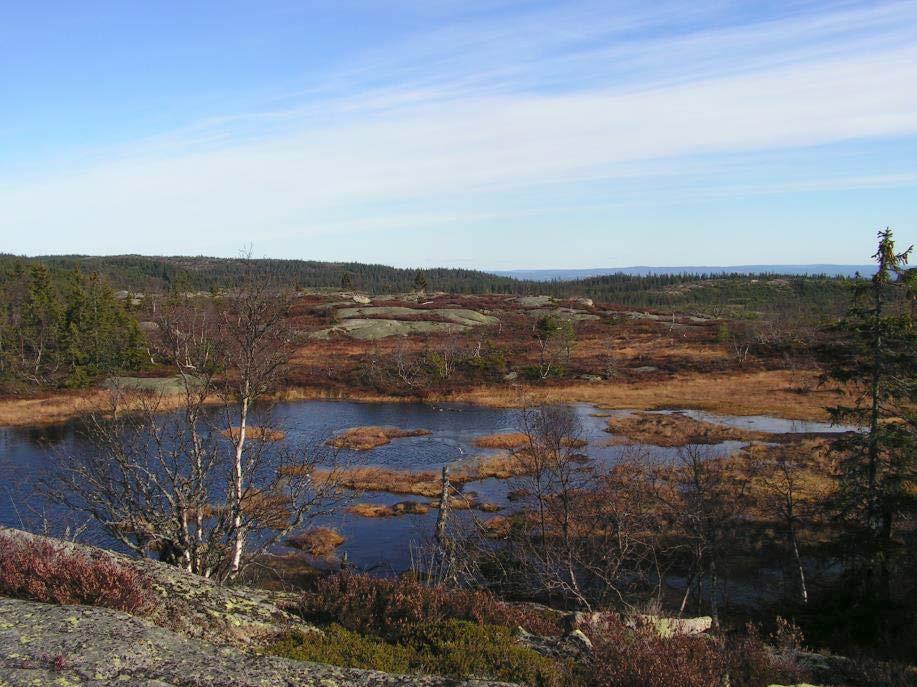 MEDLEMSNYTT SKOKLA På