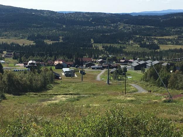 Det er lite naturvegetasjon igjen i området med unntak av et mindre areal med barskog helt i syd, samt flekkvis småskog mot nord og nordøst.