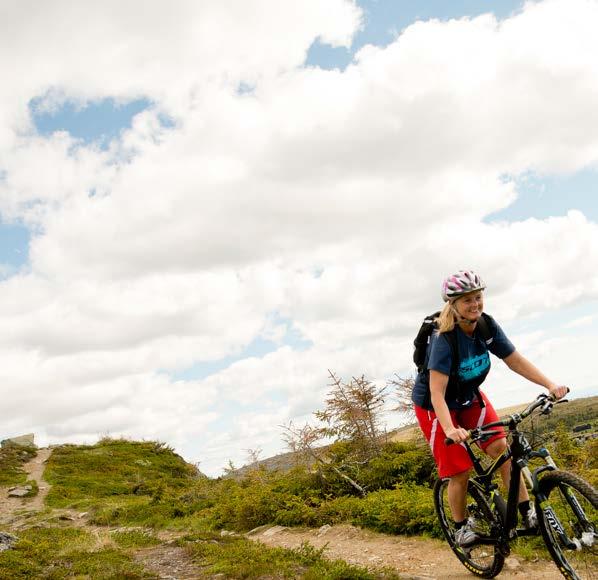 Hafjell Bike Park har fått internasjonal annerkjennelse for sitt downhill produkt og var vertskap for VM i 2014.