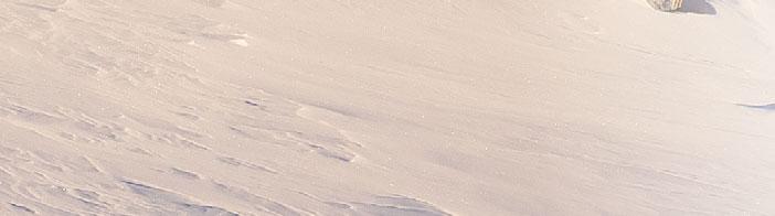 Målet var å designe fjæring med en effektiv og lang fjæringsvei. Snøscooterens fjæring spiller en sentral rolle når hestekreftene skal overføres så effektivt som mulig til snøen.
