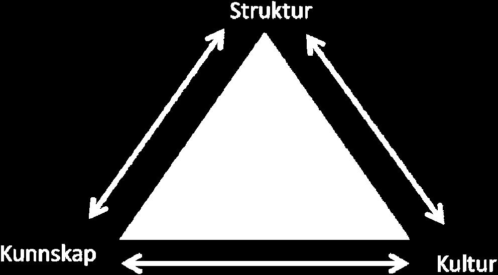 Menneskets forutsetninger er kjent og skal ligge til grunn for utforming av vegsystemet. Vår mestringsevne i trafikken og tåleevne ved en kollisjon legger premissene.