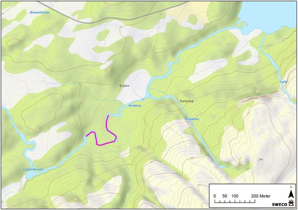 På strekningen mellom Brulivatnet og Loppholfossen er det flere områder med passende substrat og strømningsforhold for elvemusling, men det ble ikke funnet musling på strekningen.