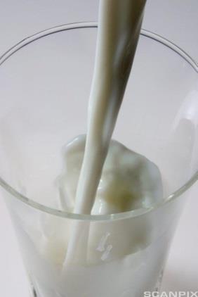Eksempelet er laget av pilotklassen i matematikk S1 på Mandal videregående skole Mellomstore egg Skummet melk 1 egg 65 g 1 glass melk 2 dl Proteininnhold 12,4 g i 100 g 3,4 g i 100 g 8 g 6,8 g Pris 6