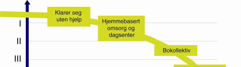 og pårørende. Demens er den vanligste årsak til innleggelse og langvarig opphold på sykehjem.