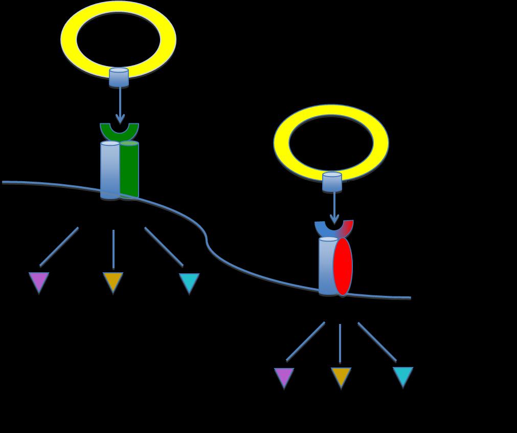 Figur 2: HLA klasse I og II. HLA klasse I-molekyler består av tre α-subenheter og β2-mikroglobulin og danner et HLA:TCR-kompleks med CD8+ T-lymfocytter.