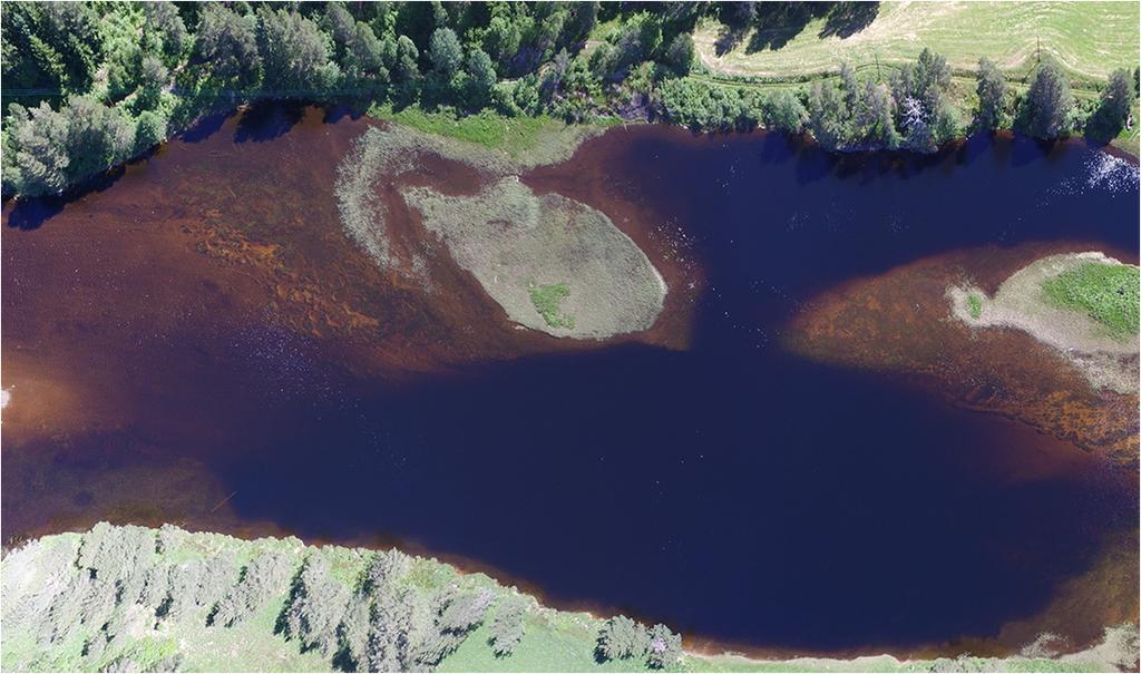 Figur 19. Område med spredt gyting i nedre del av segment 3. Avmerket som (G5) i Figur 13. 3.4.4 Segment 4: Området fra Gauslå og ned til Gauslåfjorden Øvre del av området er vist i Figur 13 og 14.