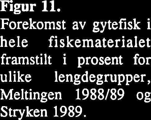 20-25 25-30 Lengdeg ruppe Figur 11. Forekomst av gytefisk i hele fiskematerialet framstilt i prosent for ulike lengdegrupper, Meltingen 1988189 og Stryken 1989.