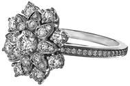 03 (73) Innehaver: HARRY WINSTON SA, Chemin du Tourbillon 8, CH-1228