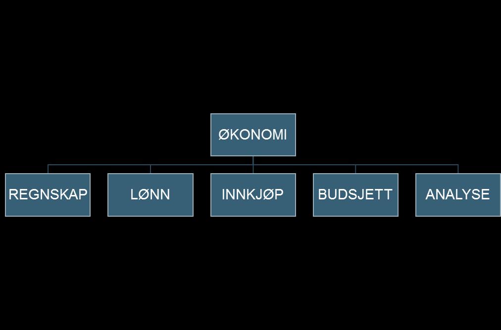 Fremtidens kommuneøkonom - Dekker flere arbeidsoppgaver på