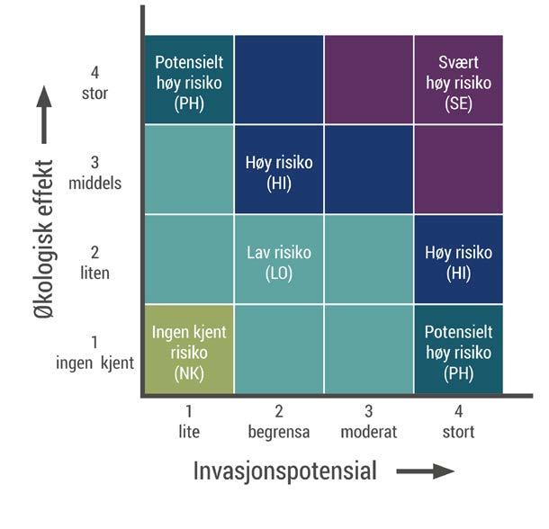 Invasjonspotensial A B Populasjonens levetid (år) Hvor sannsynlig er det at arten forblir i norsk natur; uten hogst og uten tiltak og Ekspansjonshastighet (m/år) Hvor