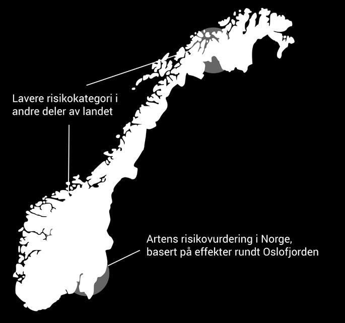 risikovurdering baserer seg på artens