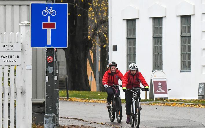 Enklere tiltak der fullgode