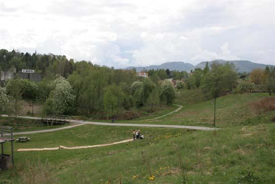 Naturtyper, utforminger og vegetasjonstyper: Lokaliteten er en kulturbetinget dam etter at en terskel er bygd langs bekken i Evjudalen. Når terskelen ble bygd er ikke kjent.