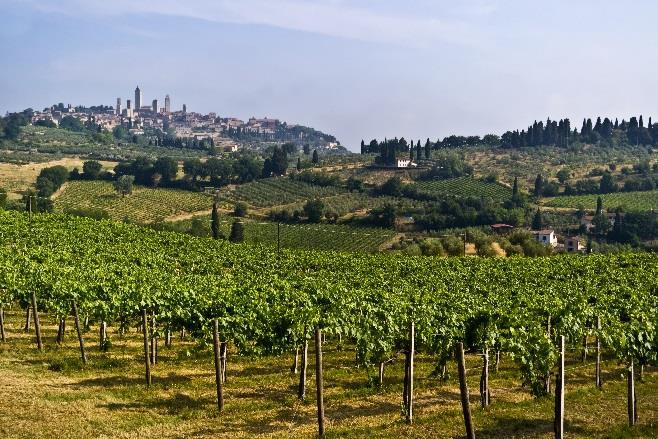 stopp er et besøk til den lille vinbyen Greve in Chianti. I løpet av dagen spiser vi lunsj på en lokal vingård.